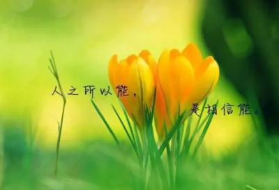 ​小学语文作文批改