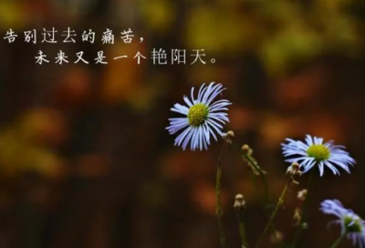 ​动物联欢会小学作文