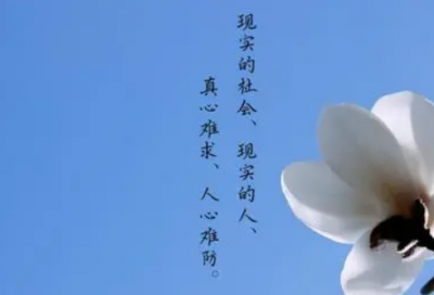 ​情小学生作文