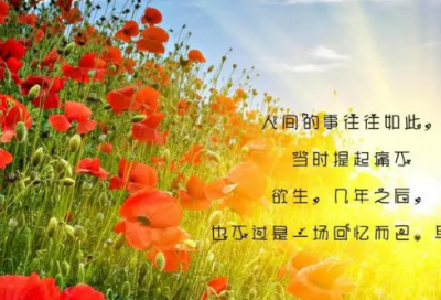 ​洗照片小学生作文