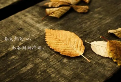 ​写小动物的小学生作文