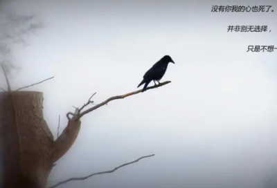 ​小学生作文审题技巧