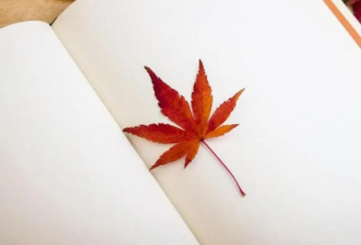 ​人在景观中小学作文