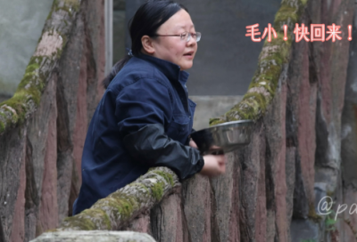 ​关于做好事的小学生记事作文