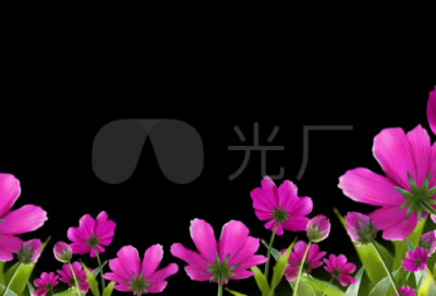 ​小班升中班寄语 【小班升中班寄语简短幼儿】