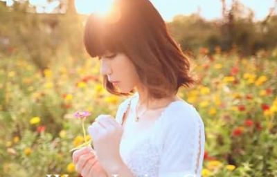 有关七夕节的文案有关夕阳的文案(精选149句)