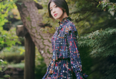 ​2026年软件四个字公司大展宏图好名800个