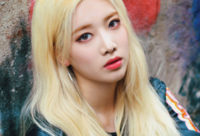 ​花艺公司名字温馨唯美